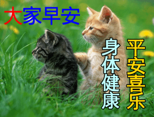 2022年早安祝福语动态表情图片,唯美的微信早上好问候图片
