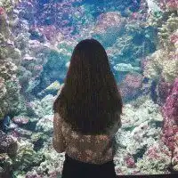 石头剪刀布你输了你要照顾我一qq情侣头像我要个性网

