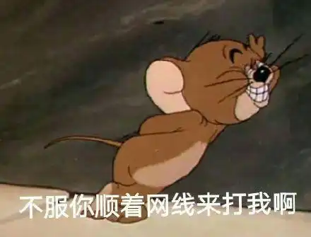 猫和老鼠沙雕表情包不服你顺着网线来打我啊

