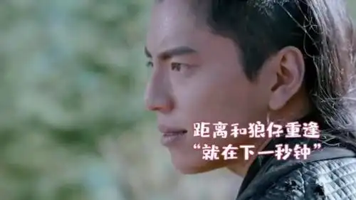 狼殿下星儿想念浪仔的第n天

