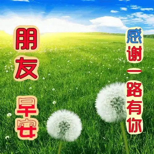 早上好朋友,每天早安心语正能量分享,人生就是一种追求
