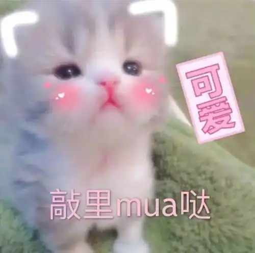 帮推艺见钟情,遇见最好的我们
