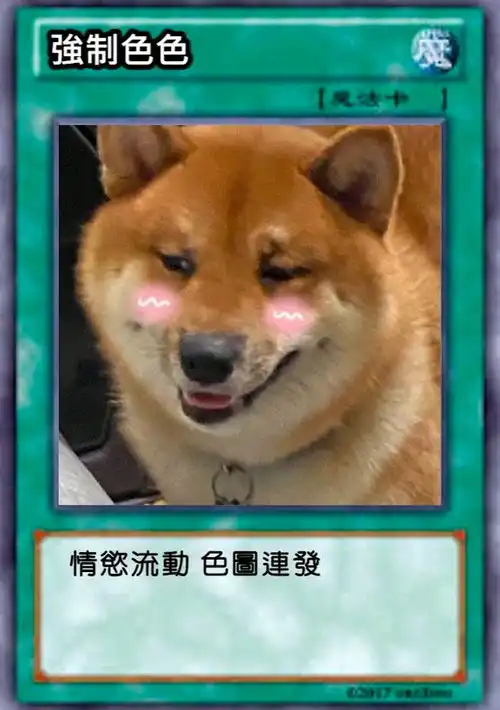 狗子色色表情包
