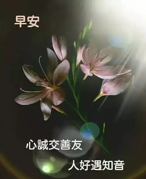 最美最暖心的早上好问候祝福语图片,最新早安心语励志语录
