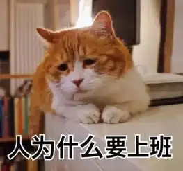 著名网黄猫日表情包笑话频道
