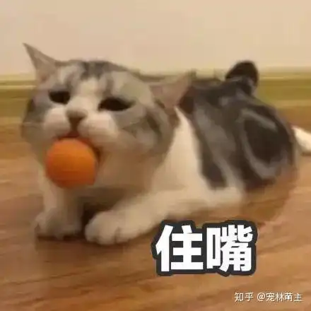 猫咪除了喵喵叫,还会发出什么声音

