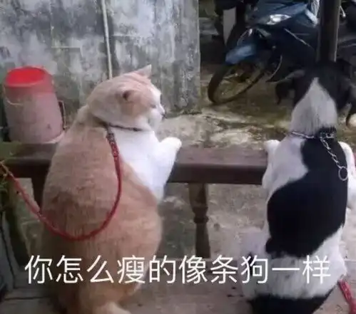 沙雕生活表情包反正也考不过了,不如现在就开始放寒假叭
