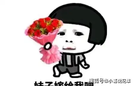 幽默段子我向闺蜜倾诉我老公竟然背着我藏私房钱
