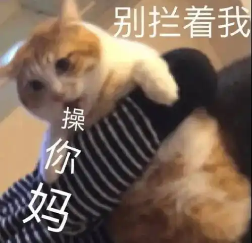 猫快给我学狗叫丨第95期喵表情
