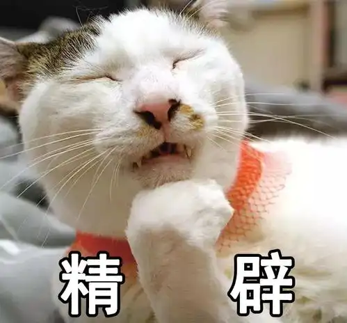 猫横狗怂猫咪在上狗在下,家庭地位谁高谁低一目了然
