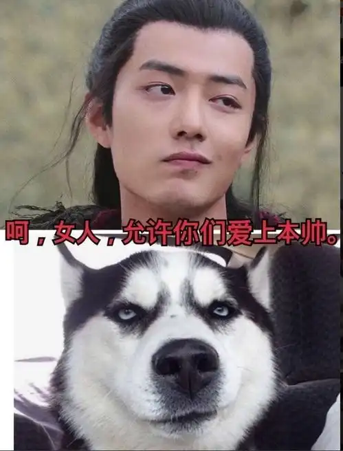 狼殿下台词尴尬,道具更甚,肖战疾冲给男二号长出息了
