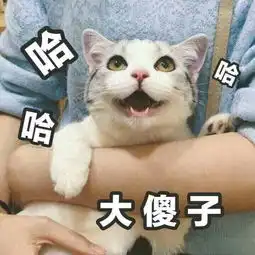 你读过哪些毁三观的小说
