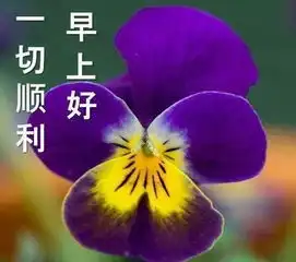 给自己一份爱一份温暖,只为今天快乐,不为昨天烦恼,早上好
