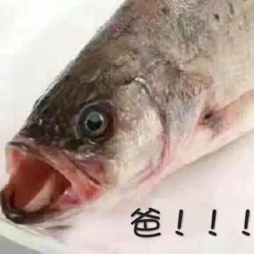 表情包自鱼头的深情呼唤
