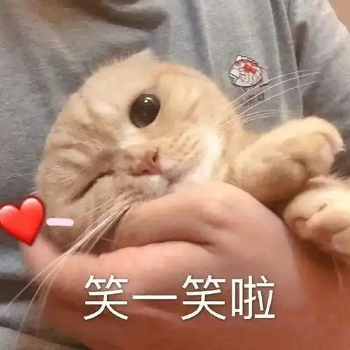 表情包让我好好爱你行不
