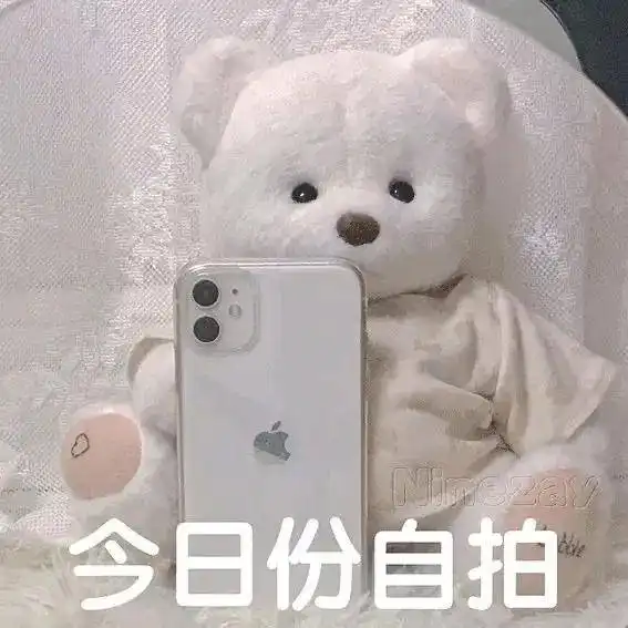 莉娜熊表情包合集
