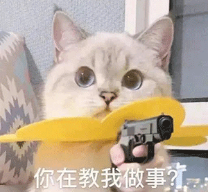绝育公猫没有了世俗的欲望丨第89期表情包
