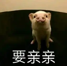 知识贴关于化妆水你的了解有多少呢
