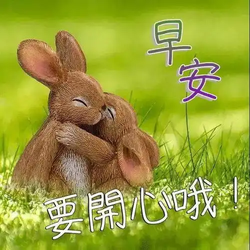 周五早上发朋友圈的正能量经典语录早安心语优美的句子

