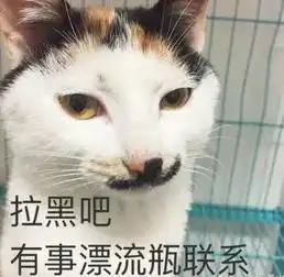 接住,大波猫咪表情包袭来...
