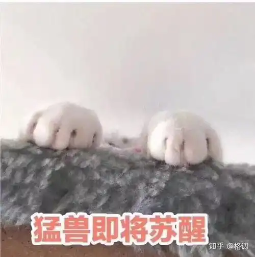 找对象最难的星座排名
