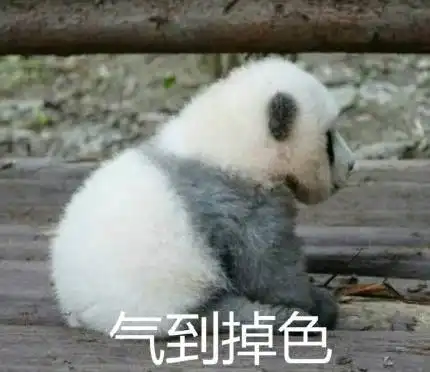 欧洲科学家说大熊猫起源于欧洲看看中国网民答应吗
